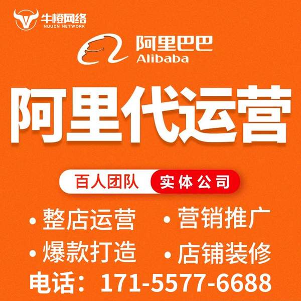 永康电商代运营