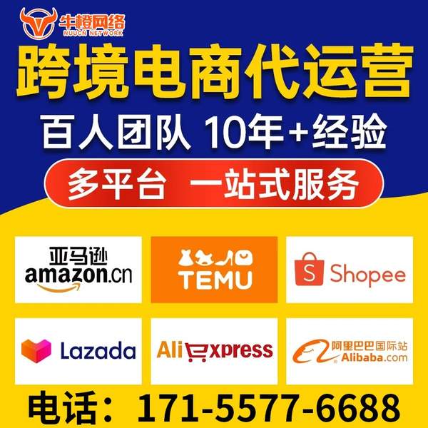 永康电商代运营