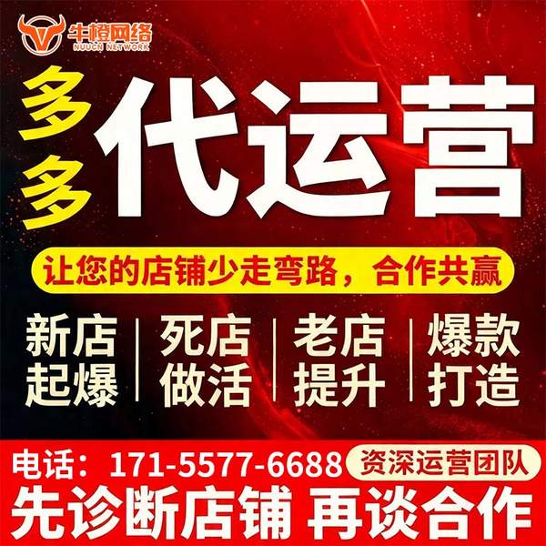 永康电商代运营