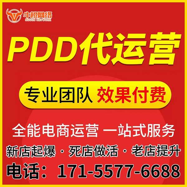 永康电商代运营