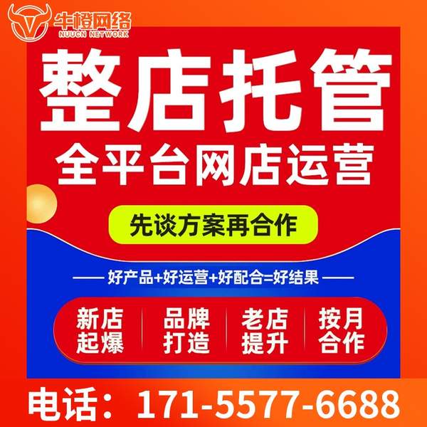 永康电商代运营