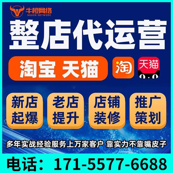 永康电商代运营