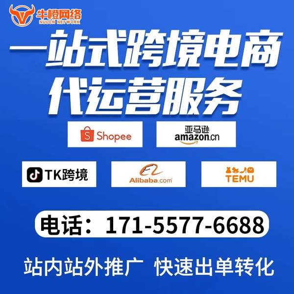 永康电商代运营