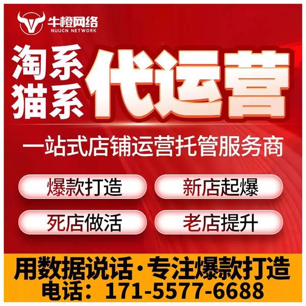 永康电商代运营